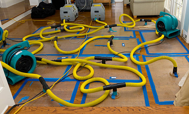 Professional Water Extraction technician working in Greenwood, IN